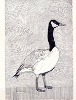 Lsberke bw spatialmemorybird 150 0x65x1499x1951 q85