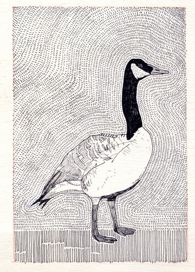 Lsberke bw spatialmemorybird 396 xxx q85