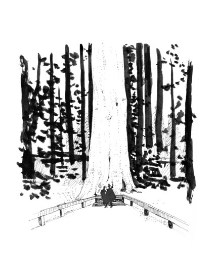 Lsberke bw travelogue generalsherman 425 xxx q85