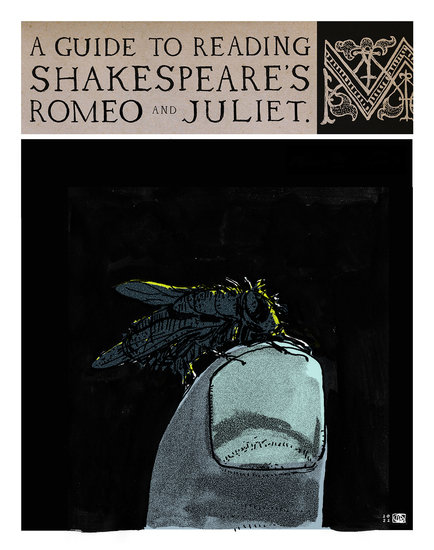 Lsberke c guidesrandj rejectedidea 434 xxx q85