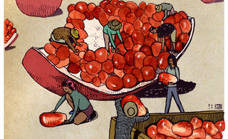 Lsberke c pomharvest 320 0x122x2069x1260 q85