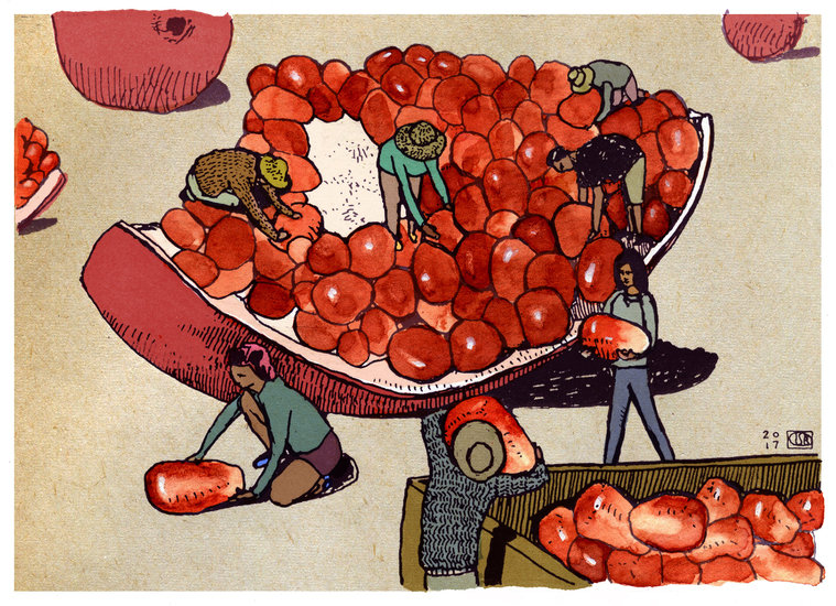 Lsberke c pomharvest 759 xxx q85