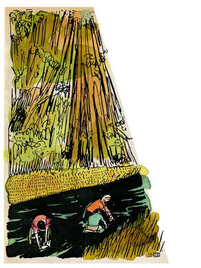 Lsberke c subt elbowschinshalfpg 413 xxx q85