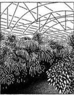 082820 150 6x0x229x298 q85