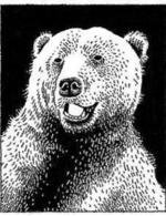 091420 150 6x0x229x298 q85