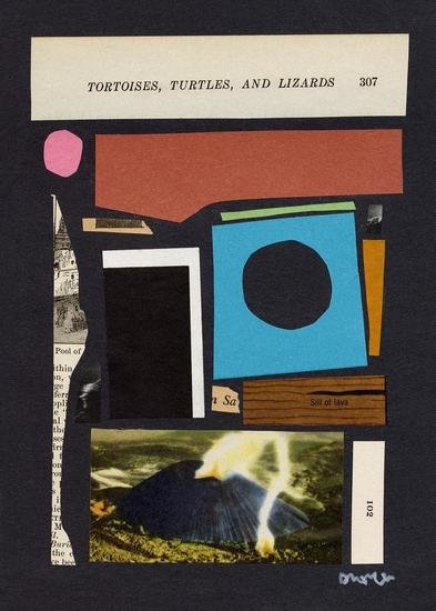 Collages 2 r1 1 393 xxx q85