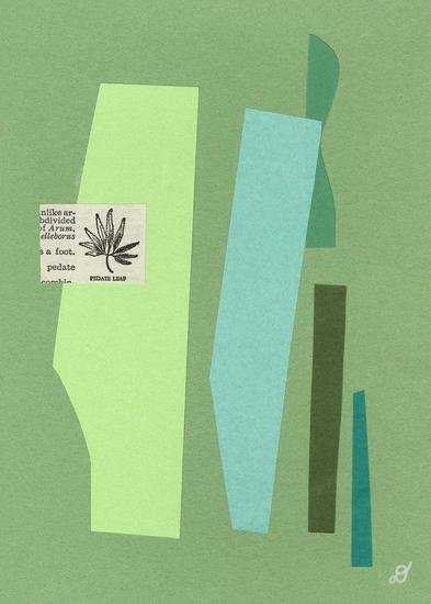 Collages 3 13 393 xxx q85