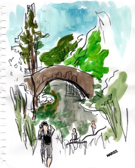 Central park0001 442 xxx q85