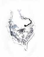 Bandanas0001 150 0x115x1757x2284 q85