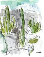 Lanzarote 20008 150 70x0x3078x4002 q85