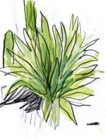 Lanzarote 20009 150 80x0x3079x4003 q85