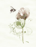 40 face bees lores 150 255x245x1119x1454 q85