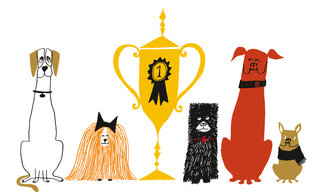 Bestinshow1 320 0x87x1999x1220 q85