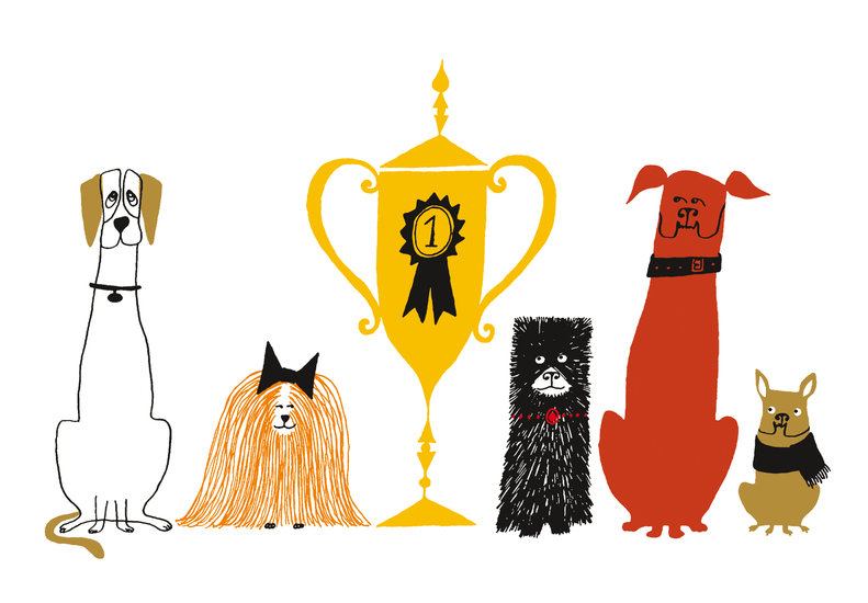 Bestinshow1 791 xxx q85