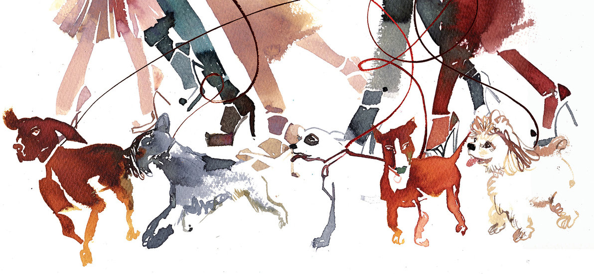 Flair line and shape 1192 xxx q85