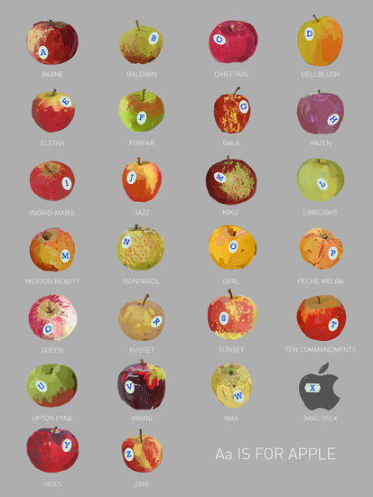 11 aa is for apple 26 413 xxx q85