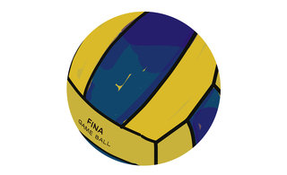 48 warer polo ball 320 0x49x1998x1217 q85