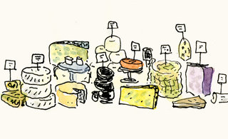 Cheeses 320 169x0x3280x1999 q85