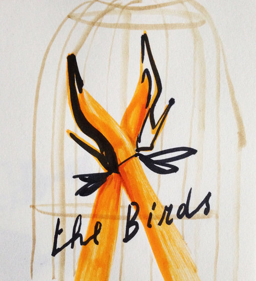 The birds 500 xxx q85