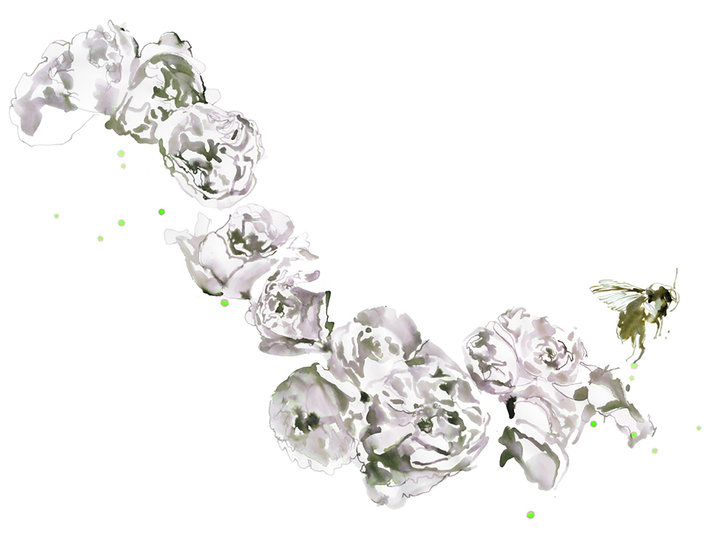 Splash rose and bee copy 710 xxx q85